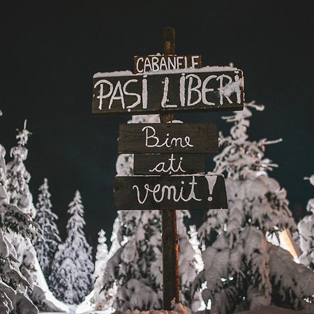 Camere De Inchiriat Pasi Liberi Tău Bistra エクステリア 写真
