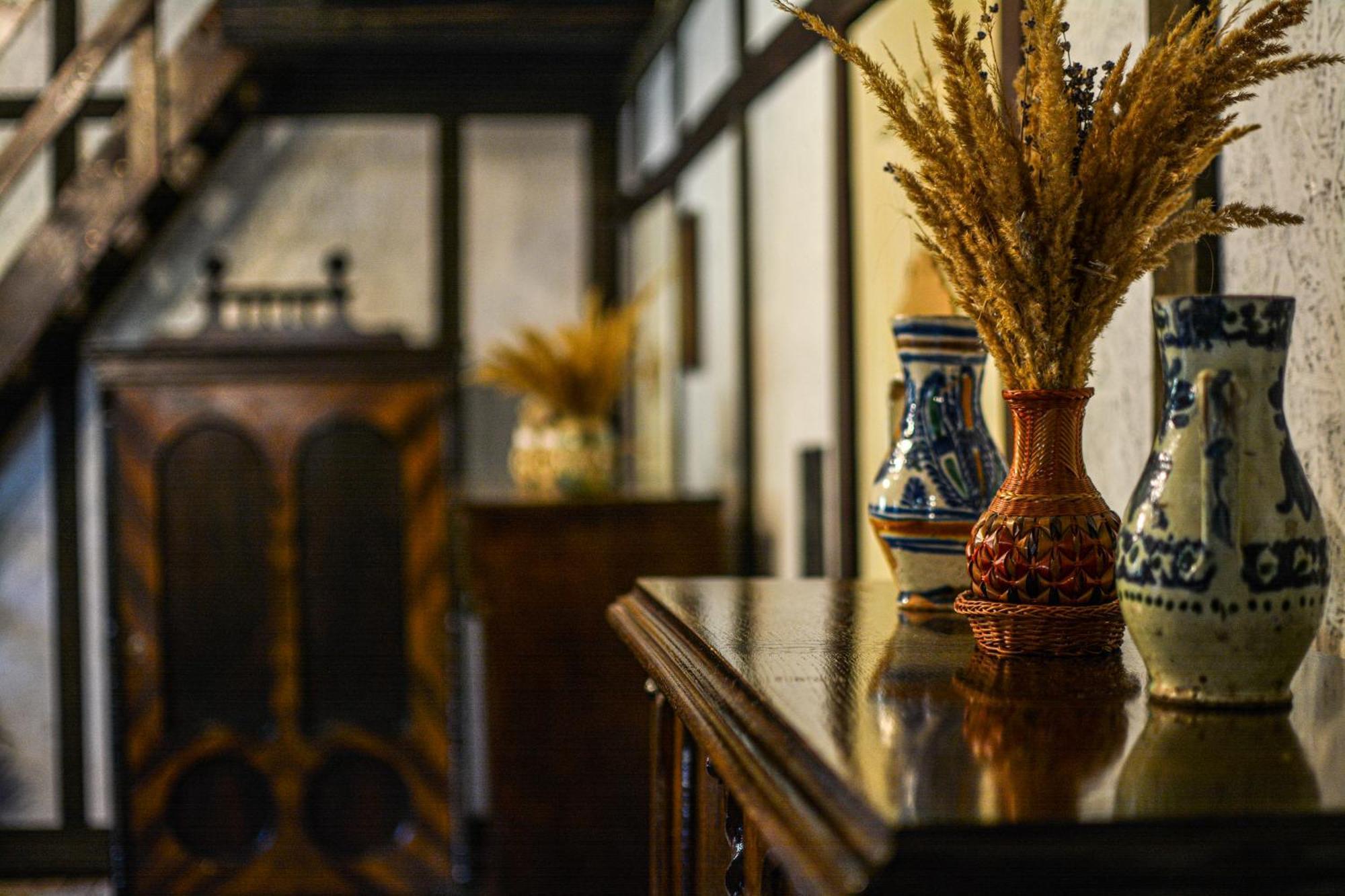 Camere De Inchiriat Pasi Liberi Tău Bistra エクステリア 写真